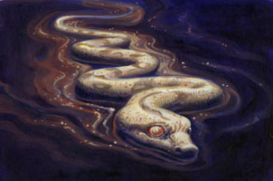 Mire Boa, Greg Hildebrandt